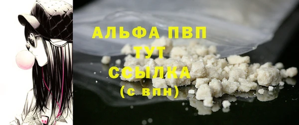 гидра Майский