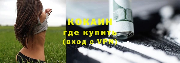 гидра Майский