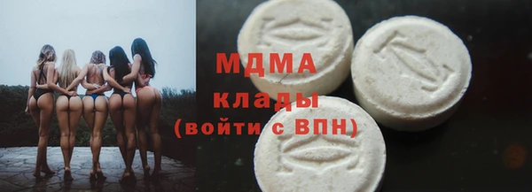хмурый Пересвет