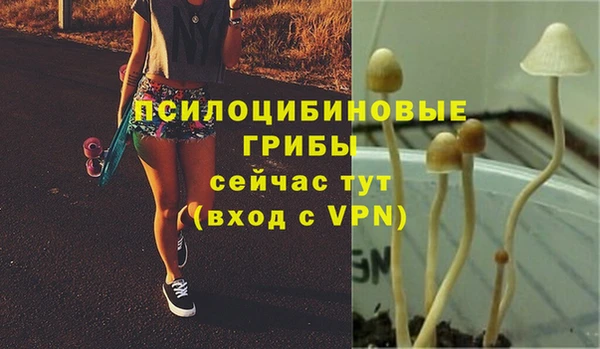 гашишное масло Магас