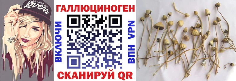 hydra как зайти  Сураж  Галлюциногенные грибы ЛСД 