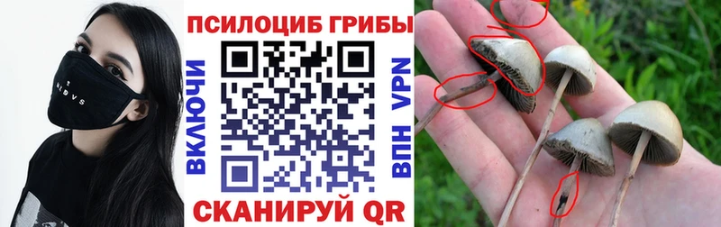 Галлюциногенные грибы мицелий Сураж